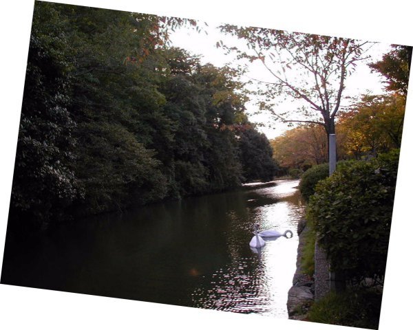 �Â��Ȗx�̔���